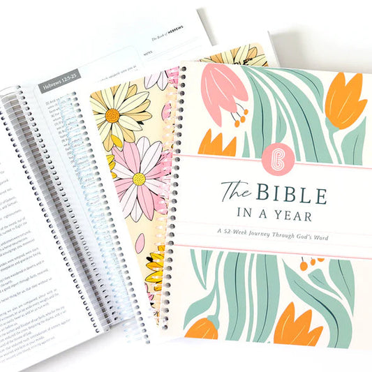 Year-Long Bible Journey